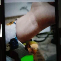 طوطی گم شده