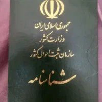 شناسنامه نوزادم را گم کردم
