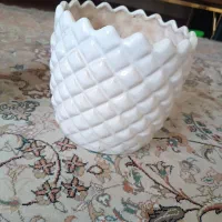 دو عددگلدان سفالی|گل و گیاه طبیعی|سراوان, |دیوار