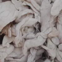 پشم برای بالنج ها