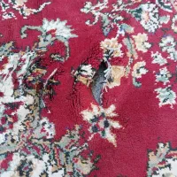 فرش ۶متری|فرش|قزوین, |دیوار