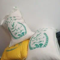 برنج ایرانی شمال هاشمی