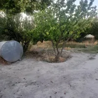 نگهبان باغ چهاردیواری