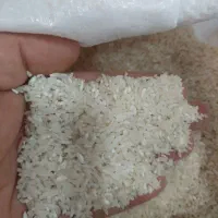 برنج سرلاشه طارم|خوردنی و آشامیدنی|زرگرشهر, |دیوار