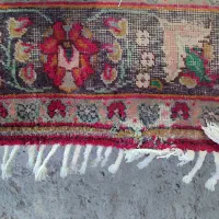 فرش دست بافت|فرش|سنگر, |دیوار