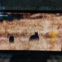 تلویزیون ال جی ۴۲ اینچ|تلویزیون و پروژکتور|درگهان, |دیوار