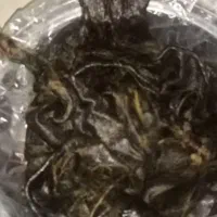 هیزه 5 کیلویی|ظروف نگهدارنده، پلاستیکی، یکبارمصرف|کرمانشاه, |دیوار