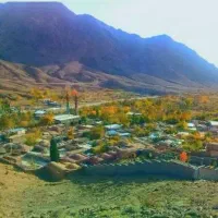 زمین باغ