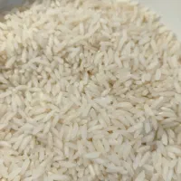 برنج بینام کشت دوم|خوردنی و آشامیدنی|بابل, |دیوار