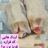 اردک ورامینی و خارجی مرغ و خروس|حیوانات مزرعه|گرگان, |دیوار
