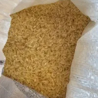 برنج کامفیروزی (تنها برنج طبع گرم در ایران)|عمده‌فروشی|کامفیروز, |دیوار