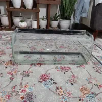 آکواریوم شیشه‌ای
