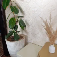 گل های طبیعی همراه گلدان|گل و گیاه طبیعی|خوی, |دیوار