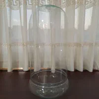 گلدان شیشه ای/گلدان / گلدان جزیره ای