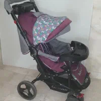 کالسکه و کریر و روروئک دلیجان