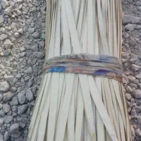 پیش دل. برگ درخت خرما