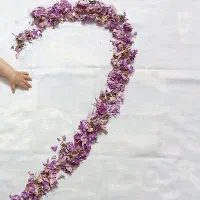 کانال بله با ۱/۲k فالوور