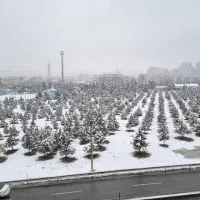 آپارتمان ۷۵ متری تک واحدی شهرک یاس دهکده المپیک|فروش آپارتمان|تهران, شهرک یاس|دیوار