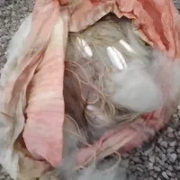 تور26میل پهنا30چشم مخصوص پشت شرکت