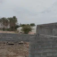 فروش زمین باغی|فروش زمین و ملک کلنگی|رودان, |دیوار