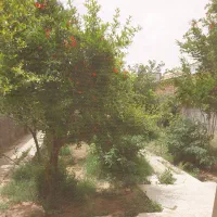 فروش-باغچه-ویلا