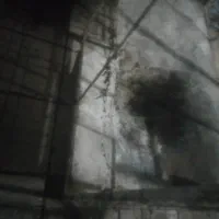 جفت کن کبوتر|لوازم جانبی حیوانات|کرمان, |دیوار