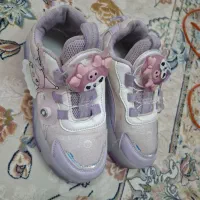 دو جفت کفش چرخ دار