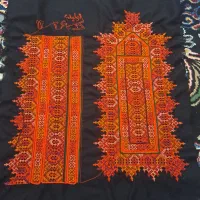 زیاستین جوکی