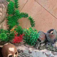 لوازم آکواریوم