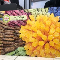 انواع تخته شاسی فوم برد رولاپ پاپاپ کانتر ۱ ساعته