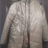 یک عدد  کاپشن مردانه و یک  عددهودی نونو