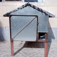 واگذاری گربه ای بالغ به همراه هفت بچه|گربه|شهرکرد, |دیوار