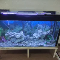 اکواریوم بزرگ