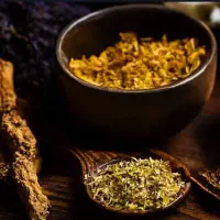 سلامتکده نهال سبز