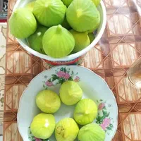 انجیر زرد بومی