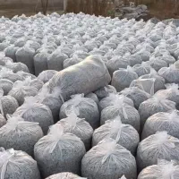 تفاله چغندر|حیوانات مزرعه|فرخ‌شهر, |دیوار