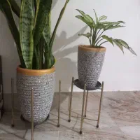 دوتا گلدون با تمام جزئیات