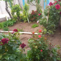 خانه روستایی سندتک برگ معاوضه با آپارتمان وماشین