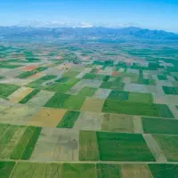باغ و زمین زراعی