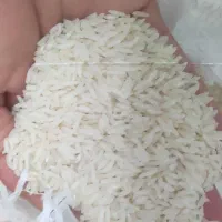 برنج طارم هاشمی (طلائی)