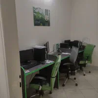 دستیار مدیر عامل