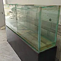 آکواریوم بزرگ