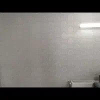 نصاب کاغذ دیواری گلبهار|خدمات پیشه و مهارت|گلبهار, شهر جدید گلبهار|دیوار