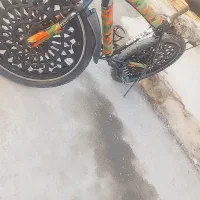 دوچرخه 26 المپیا|دوچرخه، اسکیت، اسکوتر|باوی, |دیوار