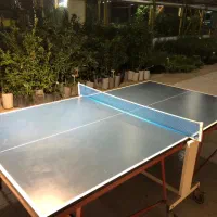 میز پینگ پنگ
