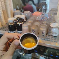 قهوه گلد برزیل Cocam و انواع میکس|عمدهفروشی|شیراز, گلکوب|دیوار