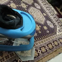 3تا روروک نو نو|کالسکه و لوازم جانبی|اراک, |دیوار