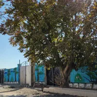 باغ و باغچه دارمثمر / خوش هوا ۲۳۰متراژ/گاز و برق