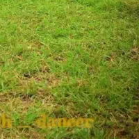 زمین کشاورزی درجیره سرخمام