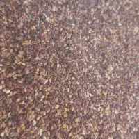 کنجد بوجاری شده فراشبند تمیز و شیرین|خوردنی و آشامیدنی|فراشبند, |دیوار